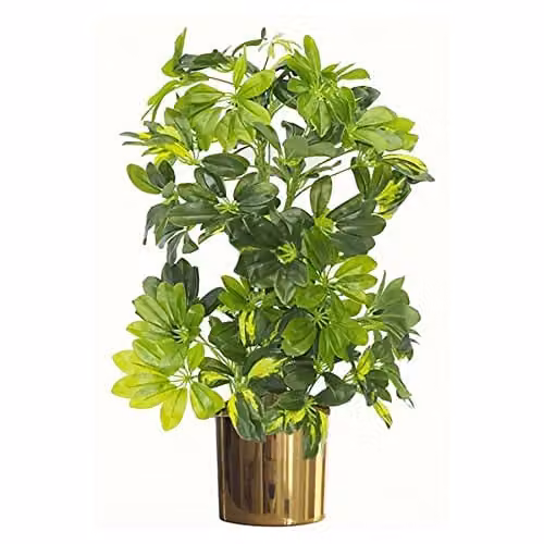 Botanik Modern Green and Gold Artificial Potted Tabletop Office Plant in Metal Pot H 75 cm x W 45 cm x D 45 cm