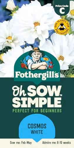 Mr Fothergill's Oh Sow Simple Cosmos White Flower Seeds