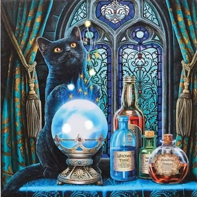 The Witches Apprentice Light Up Canvas Plaque by Lisa Parker in Teal Blue and Multicolour