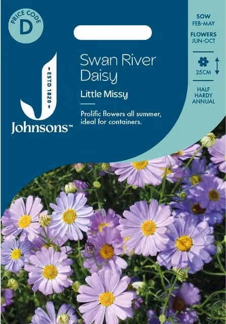 Johnsons Seeds Swan River Daisy Little Missy Flower Seeds, Lilac