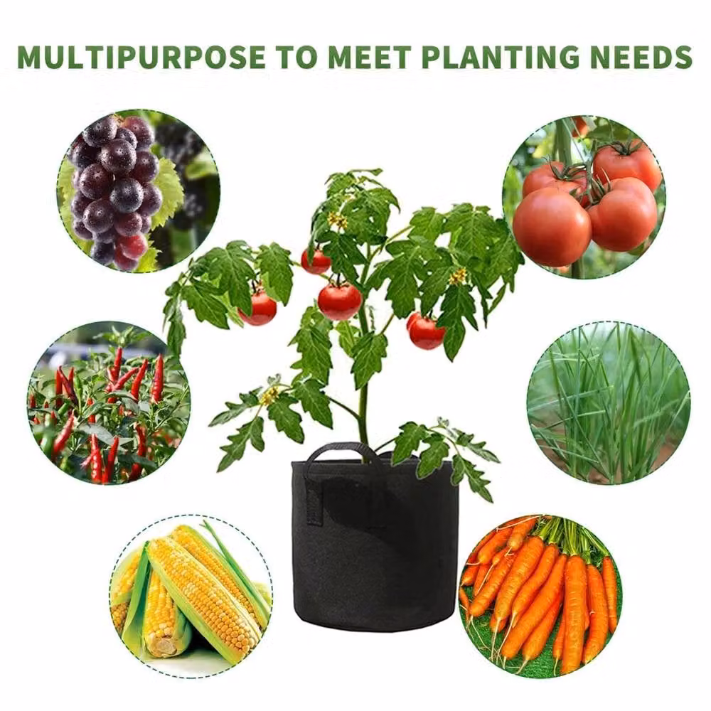 SPETLEK 10 Pack Large Black Plastic Grow Bags for Vegetables and Fruit – 4