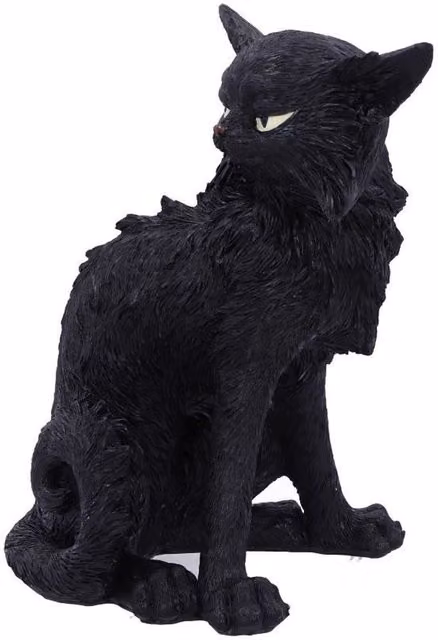 Nemesis Now Black Cat Witches Familiar Tabletop Figure, Height: 19.6 cm