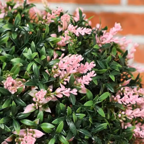 HOMCOM Set of 2 Pink Artificial Plant Topiary Balls, Diameter: 27 cm – 7
