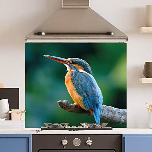 Blue Kingfisher Glass Kitchen Splashback, 6mm Heat Resistant Toughened Tempered Glass with Polished Edges, W: 90 cm, H: 75 cm