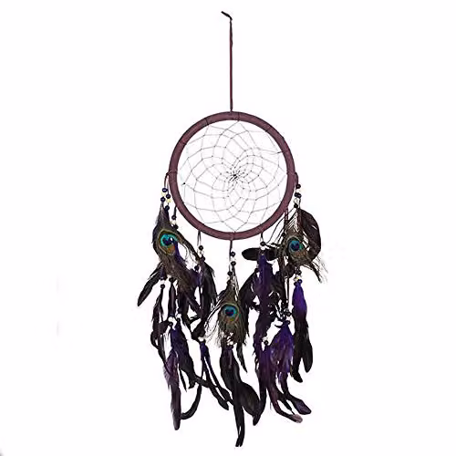Something Different Purple Peacock Feather Dream Catcher