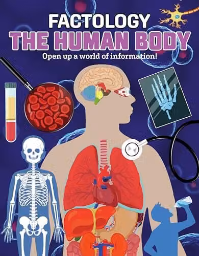 The Human Body by Button Books, Multicolour Paper Book, H x W x D: 20.955 x 25.4 x 1.905 cm – 1