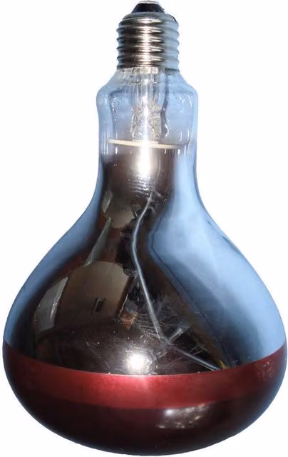 Intelec Hard Glass Infra-Red Heat Bulb in Red with E27 Fitting – 1