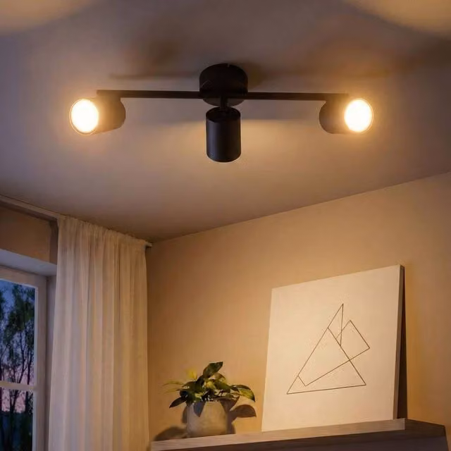 Wyld and Coco 3-Light Black Metal Industrial Adjustable Ceiling Spotlight – 1