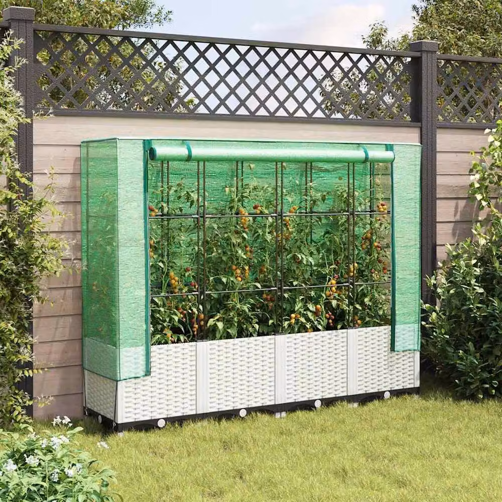 Berkfield Home Raised Bed with Greenhouse Cover in White Rattan Look, W/D/H: 160 x 40 x 138 cm – 2