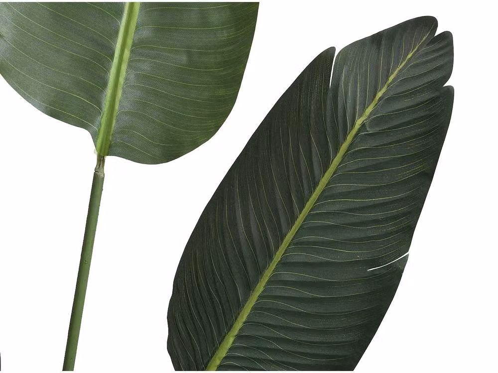 NENDAZ Artificial Banana Tree with Pot in Green, Height: 160 cm – 3