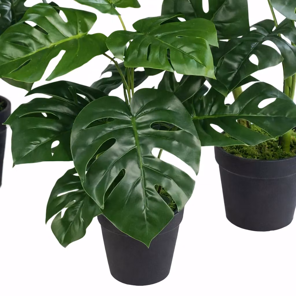 Leaf Artificial Monstera Plant in a Black Pot, Green, Height: 60 cm – 5