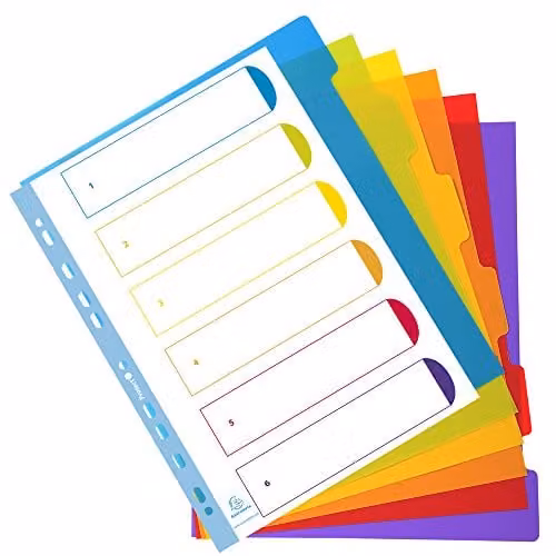 Exacompta Campus PP Dividers for A4+ Documents, 6 Tabbed Parts, Multi-coloured Polypropylene – 2