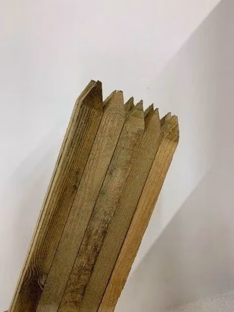 F&G Supplies 10 Pack Pressure Treated Wooden Square and Pointed Tree Stakes, Brown, H 180 cm x W 3.2 cm – 2