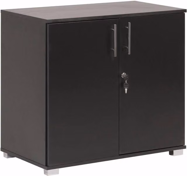 FLAVORA Black Lockable Metal Storage Cabinet with Hinged Doors – 1