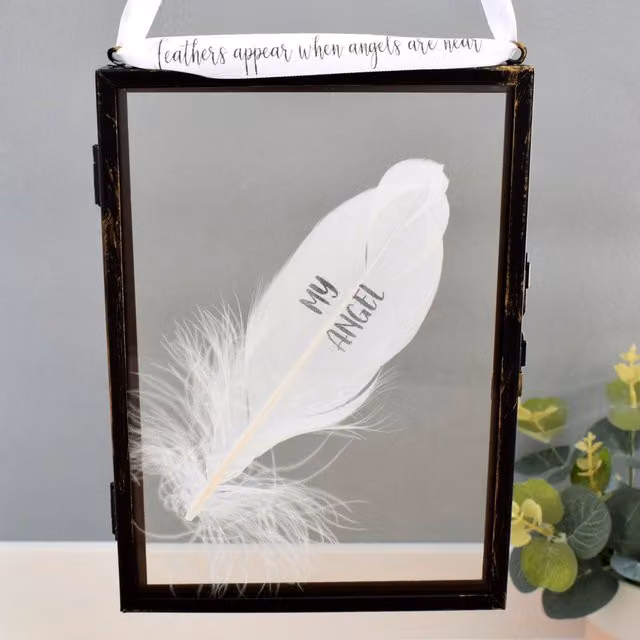 Amaya Rose Ltd My Angel In Memory of Real Feather Floating Picture Frame, Black, Single, Wall Mount, Rectangular, Glass and Metal