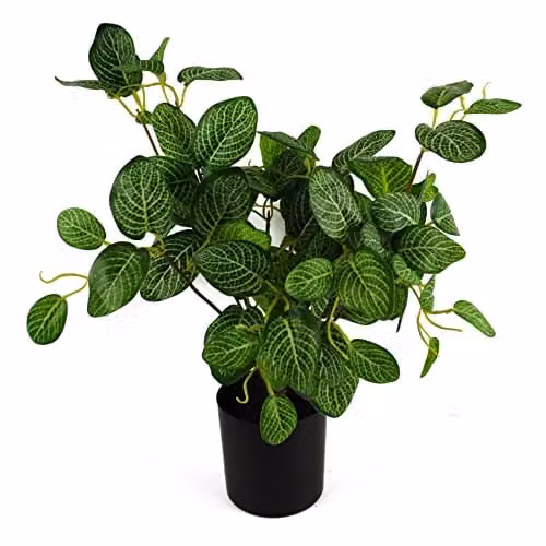 Botanik Potted Artificial Variegated Pothos Plant in Green and Black, Height: 40 cm