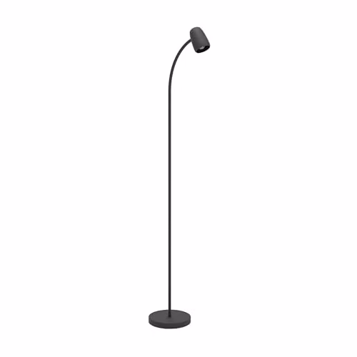 Eglo Carlo Modern Black Metal Arc Floor Lamp with Adjustable Spot for Living Room and Bedroom, Height: 170 cm