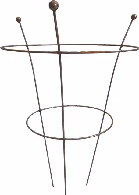 Tom Chambers Pack of 4 Bare Rusted Steel Plant Supports in Brown, W: 40 cm, H: 54 cm