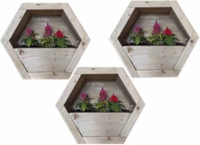 Buttercup Farm Hanging Wooden Hexagon Wall Planter Set of 3, Brown, W: 34 cm, D: 16 cm, H: 30 cm