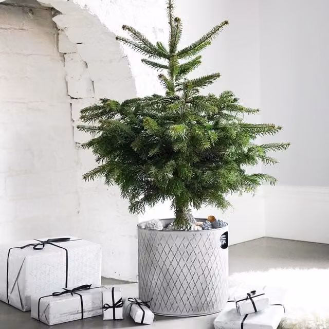 Ivyline Round Metal Indoor Zinc Planter in Grey, H: 28 cm, W: 28 cm – 1