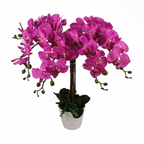 Leaf Design UK Potted Artificial Orchid Flower Display in Pink and Black, Height: 85 cm