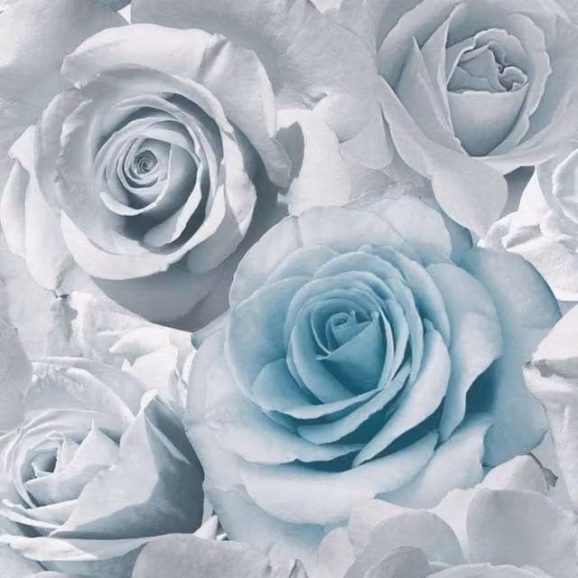 Muriva Madison Roses Floral Botanical Wallpaper in Blue