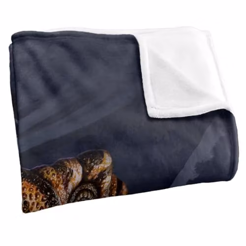JQ Licensing Jlo T-Rex Ripping Dinosaur Super Soft Silky Touch Fleece Throw Blanket, Multicolour, W/D/H: 91 x 147 cm – 2