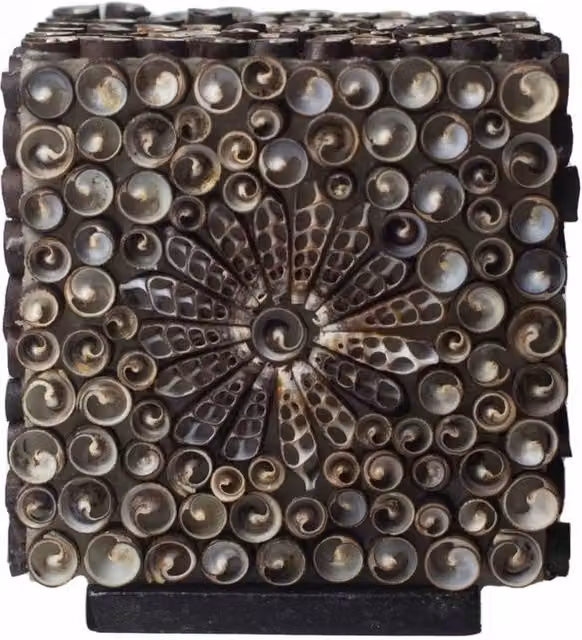 KDMD Boho Sea Shell Lamp in Brown Chocolate Twist Square, 15 cm