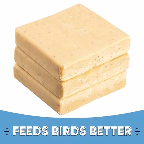 Happy Beaks Suet Blocks with Insect and Mealworm Flavours, 3 Pack Natural High Energy Bird Feed Treat – 2
