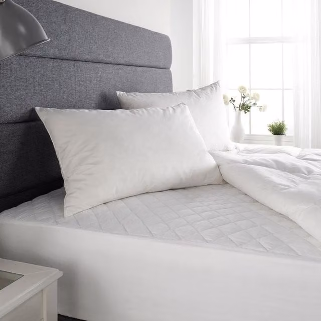 OHS Pack of 2 White Duck Feather and Down Mix Pillows for Adults
