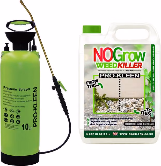 Pro-Kleen Manual Pressure Pump Sprayer in Green, 10 l
