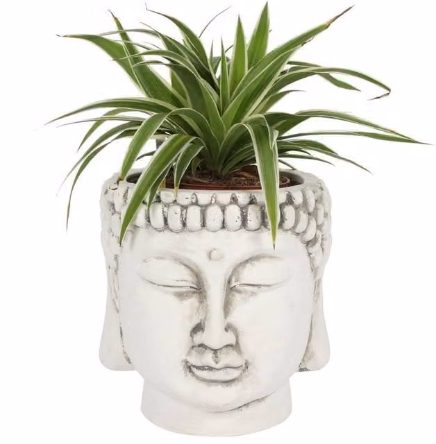 Uniqueful White Terracotta Buddha Head Ceramic Planter