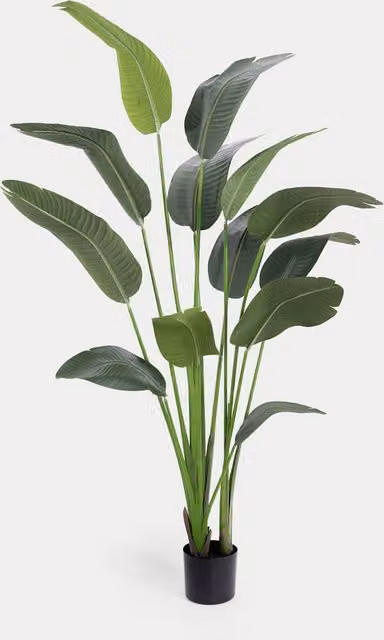 Blooming Artificial 6ft Potted Strelitzia Plant in Green