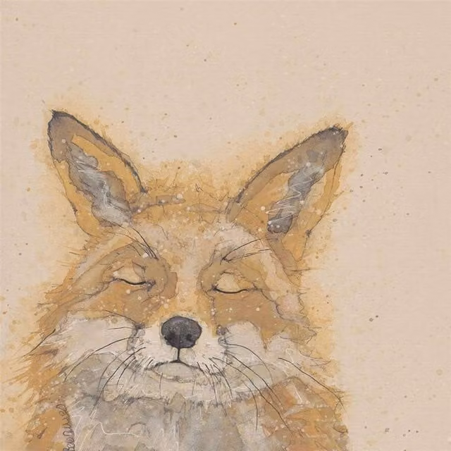 Bev Davies Zen Fox Canvas Print in Orange