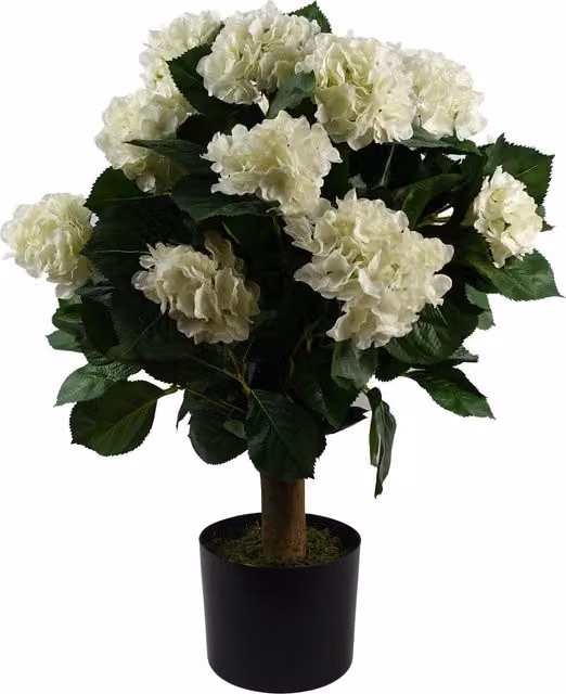 White Artificial Potted Hydrangea Plant with Textile Leaves, Height: 70 cm
