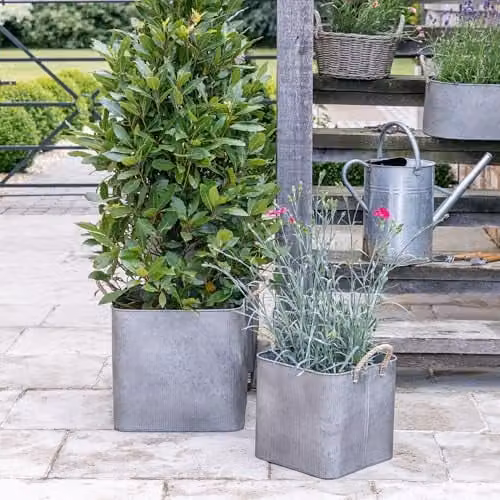 Ivyline Galvanised Steel Square Planter Set of 2 in Silver, W: 37.5 cm, D: 34.5 cm, H: 37.5 cm