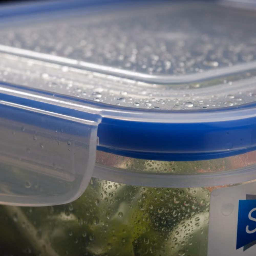 Bedsland Blue Transparent Airtight Clip and Close Leakproof Plastic Food Container, 900ml – 2