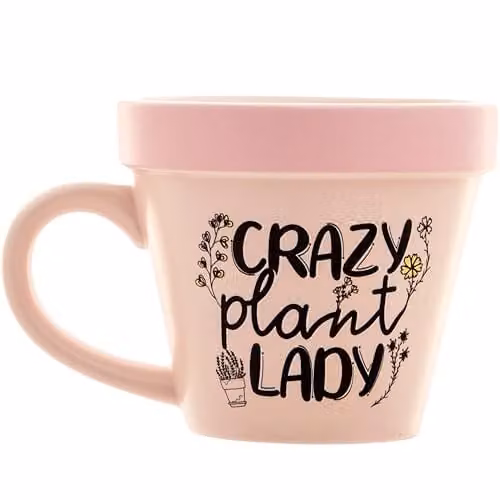 Boxer Gifts Crazy Plant Lady Floral Ceramic Mug, Pink and Multicolour – 1