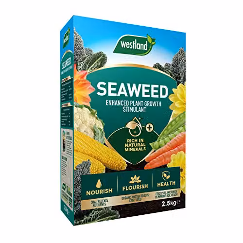 Westland Seaweed Enhanced Plant Tonic for Lawns, Vegetable Gardens and Ornamental Gardens, 2.5 kg