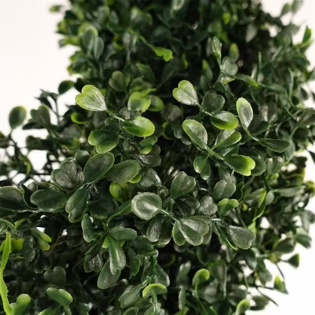 Botanik Green UV Resistant Spiral Boxwood Topiary Tree with Black Plastic Pot, Height: 120 cm