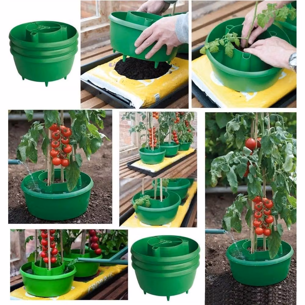 Spetlek Green Plant Watering Pot for Vegetable Gardens, Pack of 6, 100g – 4