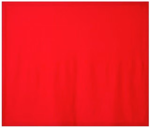 Gildan Heavy Blend Fleece Stadium Blanket in Red, W/D/H: 152.4 x 127.0 x 1.0 cm