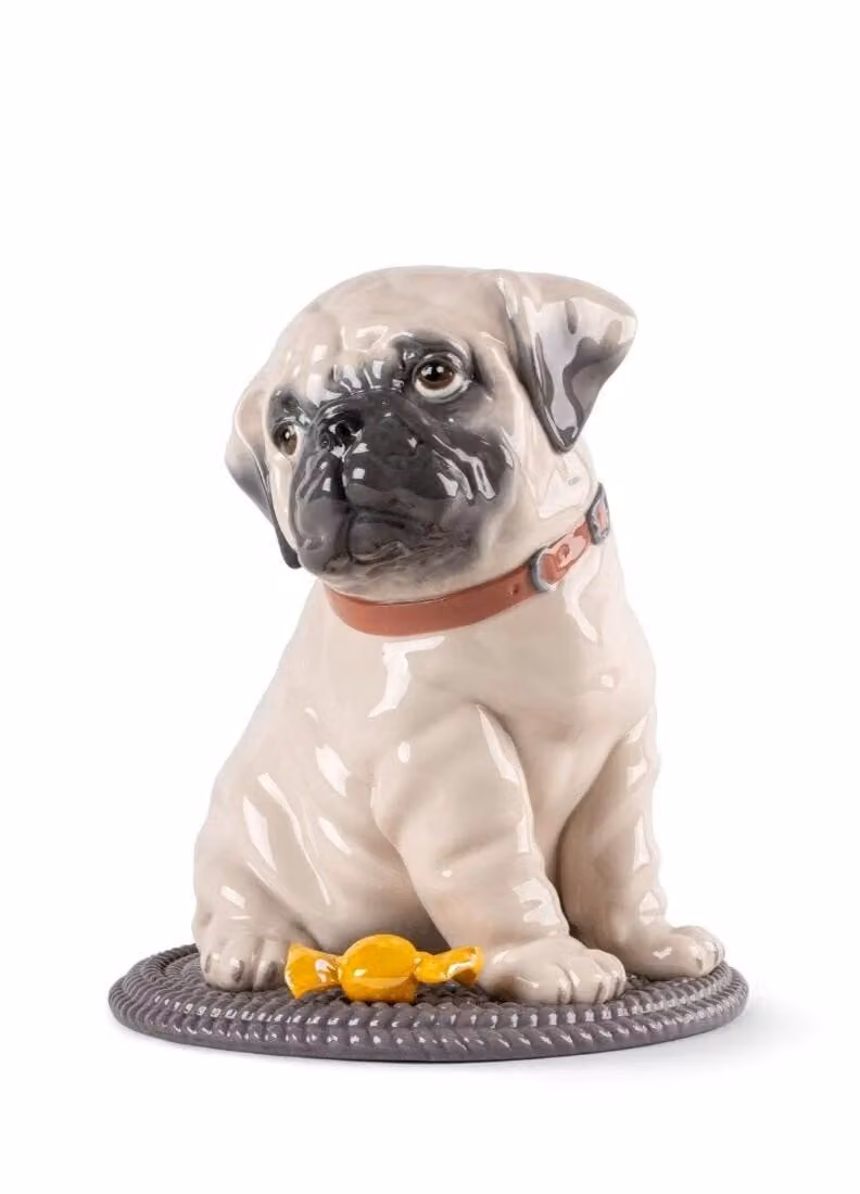 Lladró Puppie Pug Porcelain Sculpture in Beige