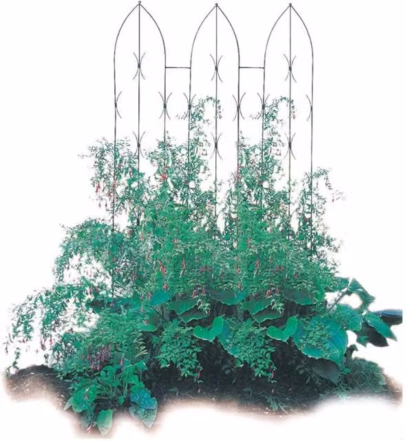 Poppyforge Triple Gothic Steel Garden Screen and Plant Support in Black, H 180 cm x W 58 cm