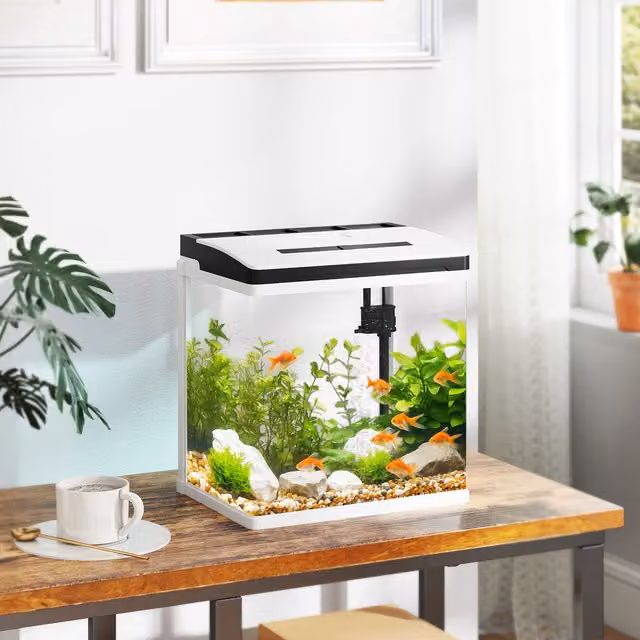 PAWHUT 13L Glass Fish Tank for Betta, Guppy, Shrimp and Mini Parrot Fish, White