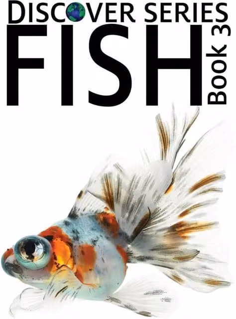 Xist Publishing Fish 3 Paperback Book in White and Multicolour
