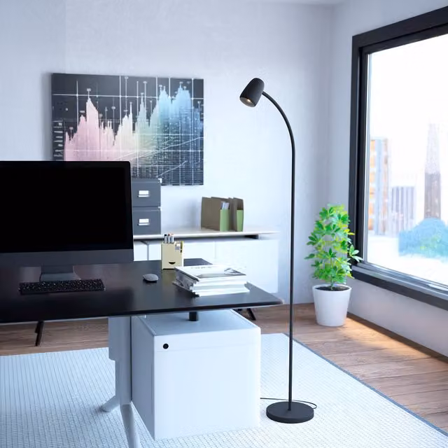 Eglo Carlo Modern Metal Flexible Floor Lamp, Black, H 170 cm