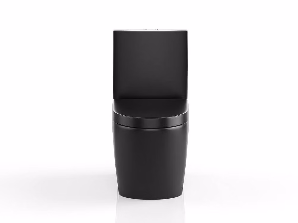 Vente-unique NAGILAM Matt Black Ceramic Floor-Standing WC with Vertical Outlet and Soft-Close Seat, W: 35 cm, D: 44 cm, H: 69 cm – 2