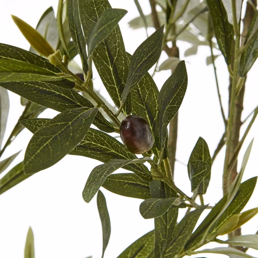 Lemon Pavilion Furniture and Decor Apulia Olive Tree in Green and White, Height: 200 cm – 2