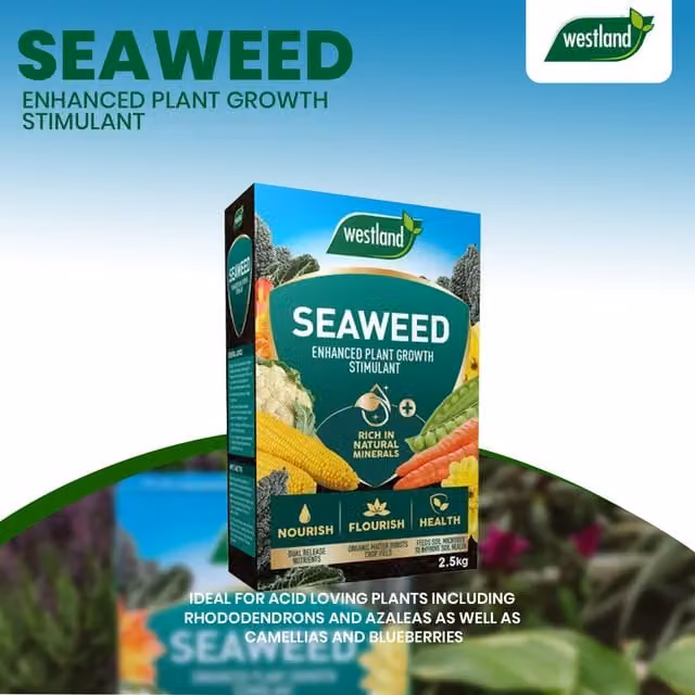 Westland Seaweed Enhanced Plant Tonic Granulate, 2.5 kg